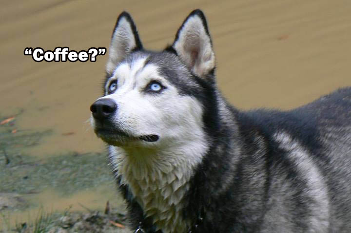 ☕ Your Friday Perkup:  Heck Froze Over Part 3