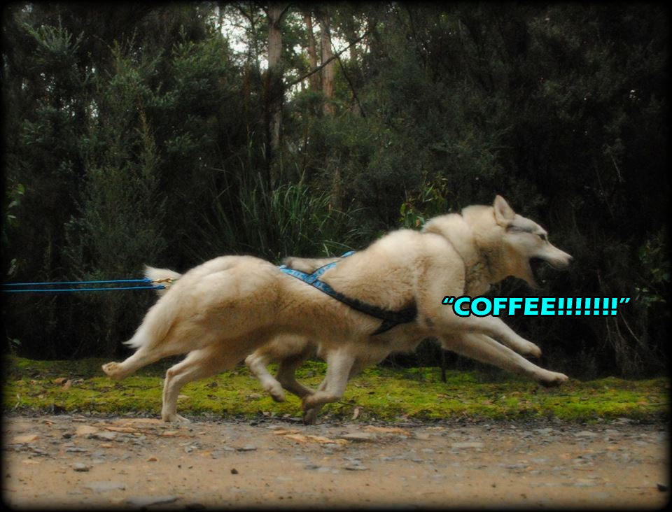 ☕ Your Saturday Perkup:  1883, Spies trailer, LAST Basic Skills Call, eCom Made Easy, Save 0, more!