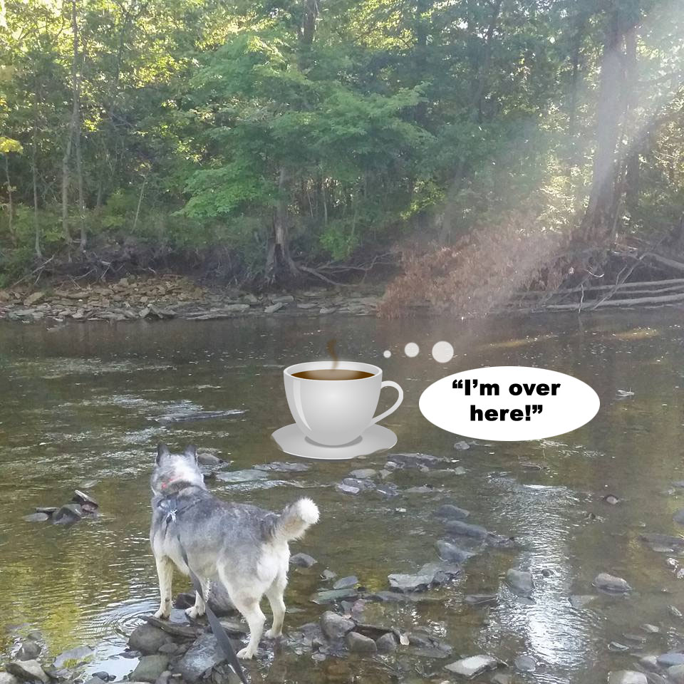 ☕ Your Saturday Perkup: 1915, 1am, Mousetrap car, AliExpress, Not a Marketer, PLR, more!