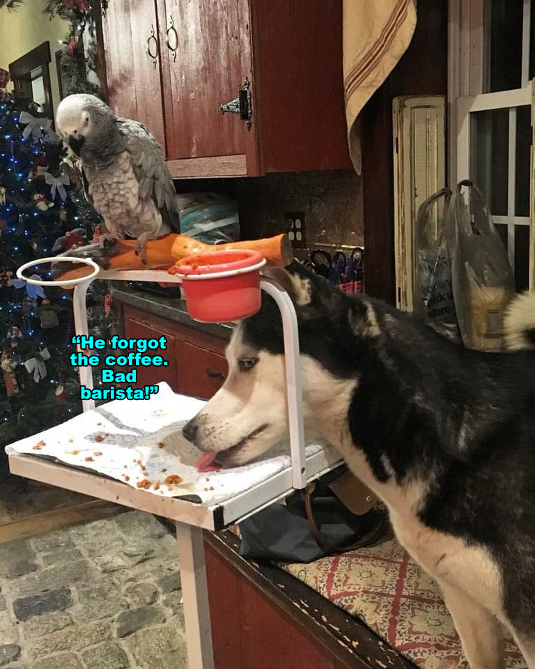 ☕ Your Wednesday Perkup: 1946, Handling Holidays, Security Software, Google, HTTPS, Bitcoin PLR, more!