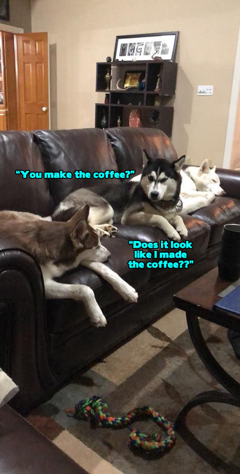☕ Your Wednesday Perkup: 4th of July, Reality, Boomers, Kindle Coupon, eCom, Affiliate Marketing, more!