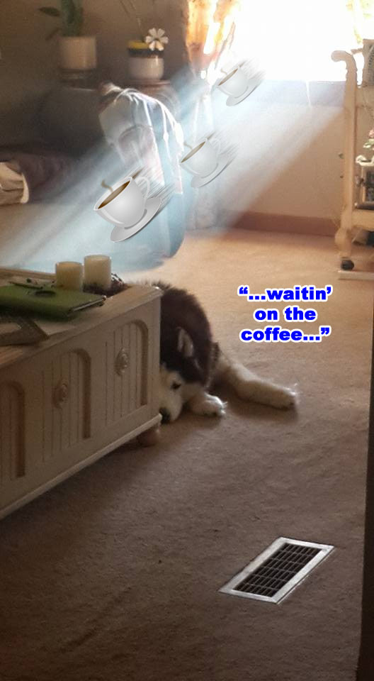 ☕ Your Fri Perkup: Caught Unawares, Your own bots, Clickbank, Net.goddess, easy eCom, more!