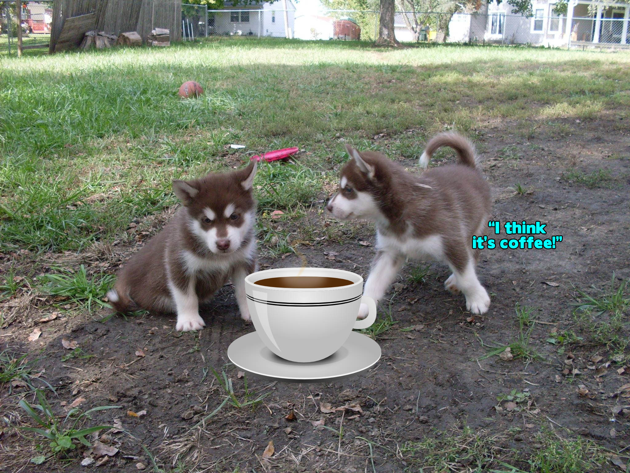 ☕Your Tues Perkup:  Zero cost Webbie, RSS 2.0, 17 Ways to Profit from AR, Parenting Kit, IM Bootcamp,