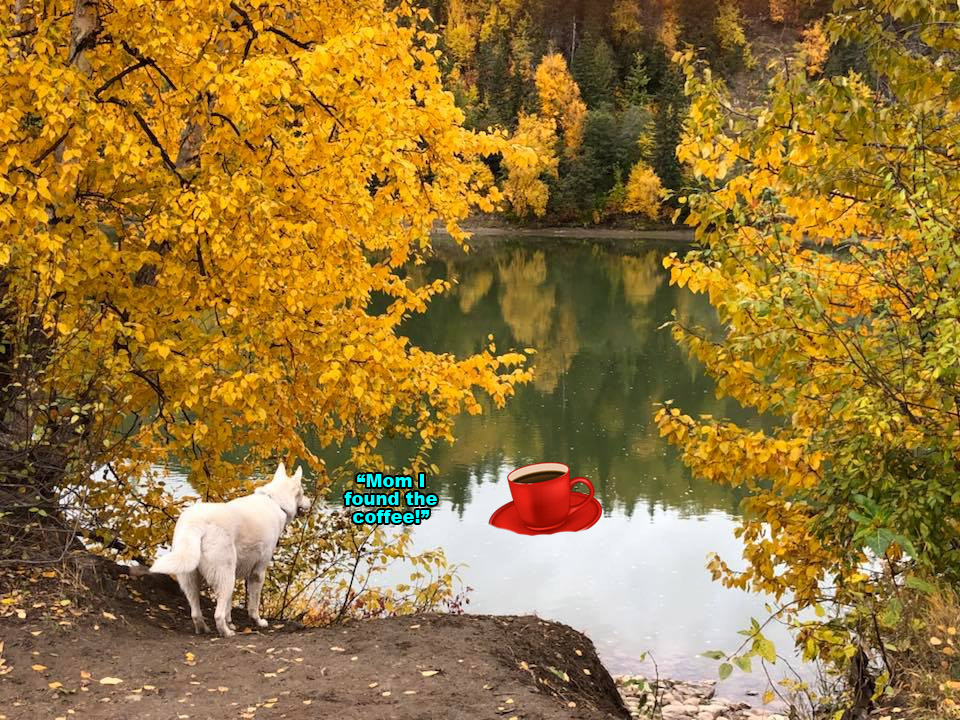 Breath-taking eCommerce Trends for Next Year?