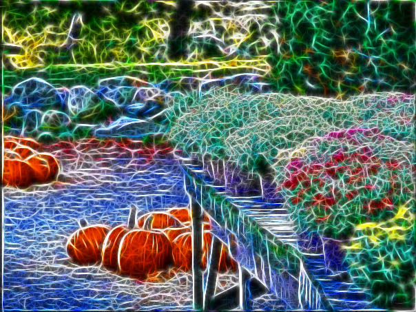 🌠Splendidly Excellent Social Video Marketing Tools?