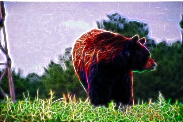 🌠Two really cool marketing resources you might not use yet?