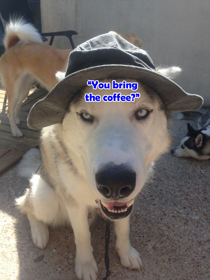 ☕ Your Tue Perkup: Mindspace, Copywriting Software, Grattiude PLR, Affiliate marketing, PLR, more!