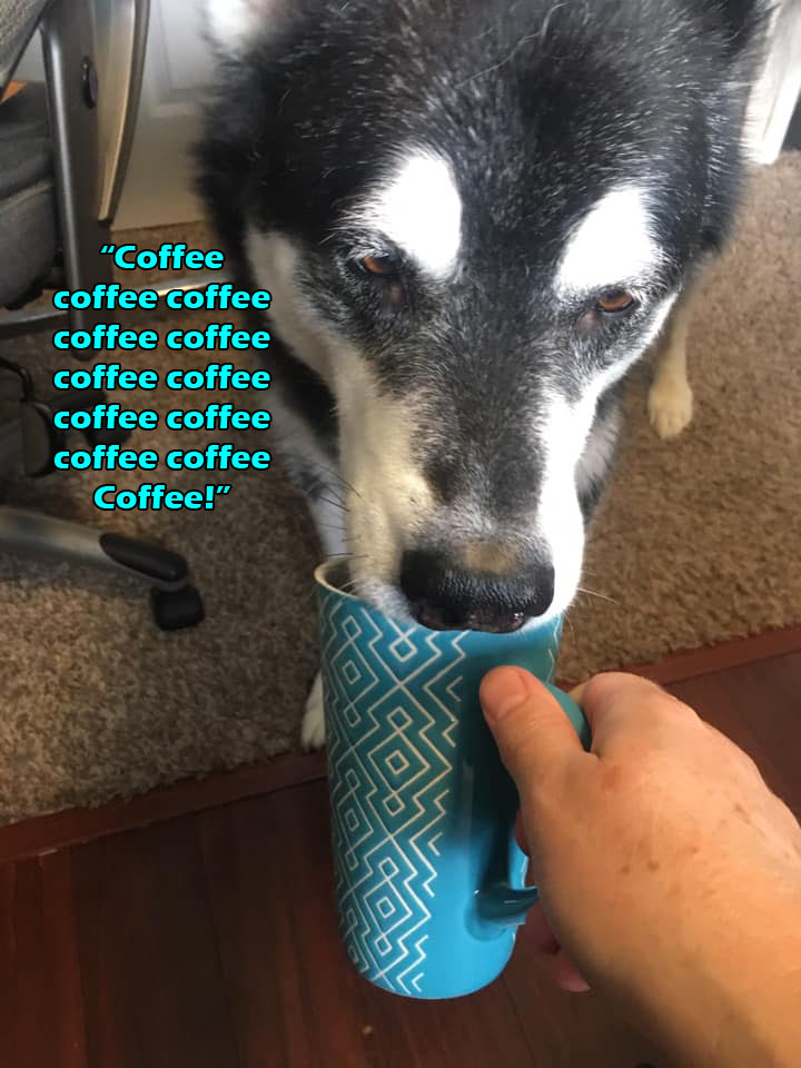☕ Your Sat Perkup:  Taxes, Insanity, Challenges, PLR, more!