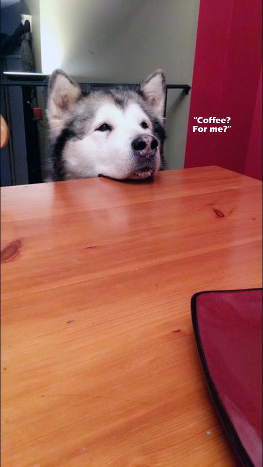 ☕ Your Sat Perkup:  Beak of Doom Fashion, 30% off BIG coupon, Flash Sale Fun, eBay Affiliate Marketing, more!