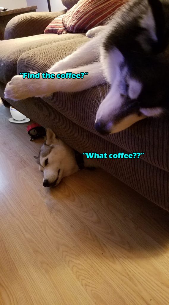 ☕Your Thur Perkup: Jetlag, Affiliate Marketing, Self Confidence, Product Creation, Passive, more!