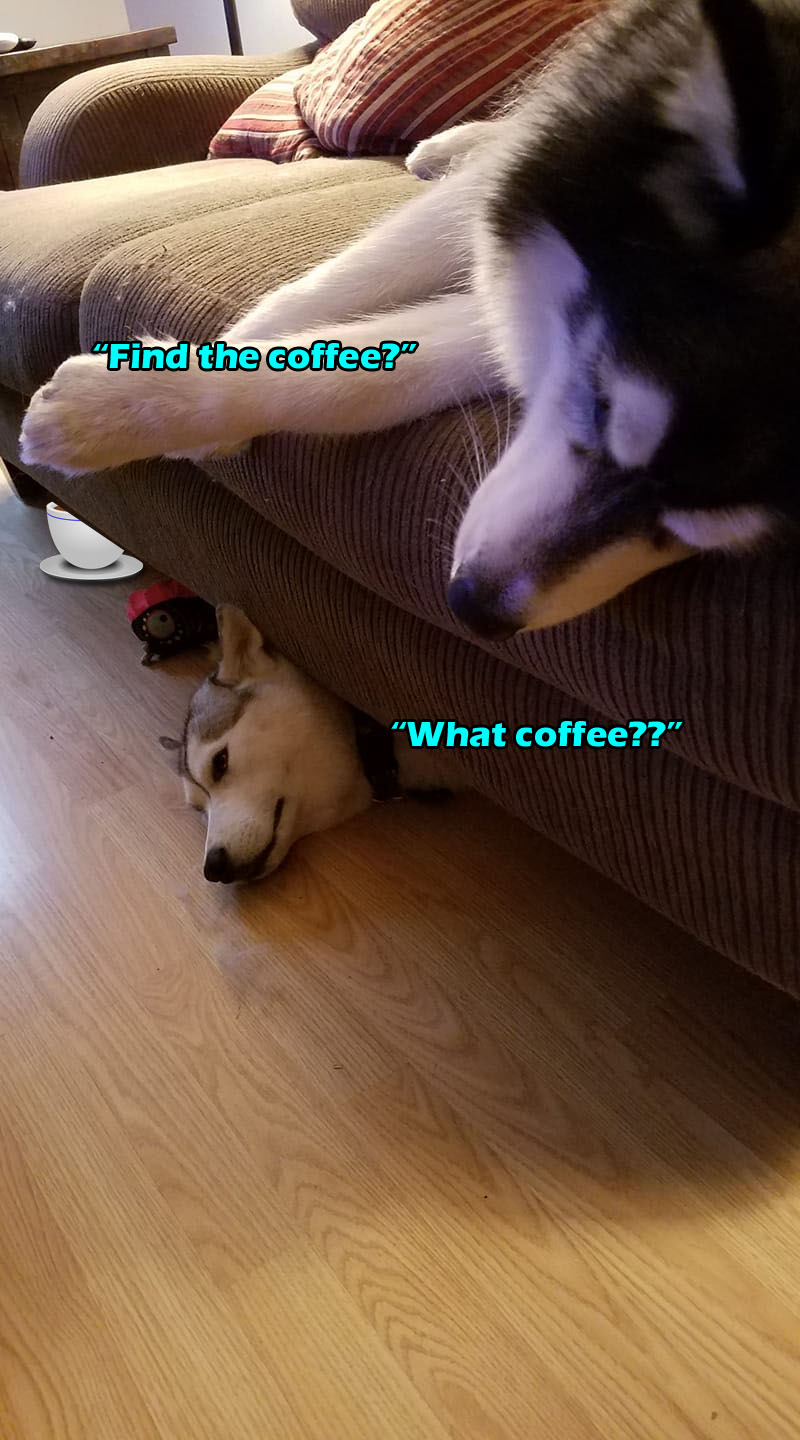 ☕Your Thur Perkup: Jetlag, Affiliate Marketing, Self Confidence, Product Creation, Passive, more!