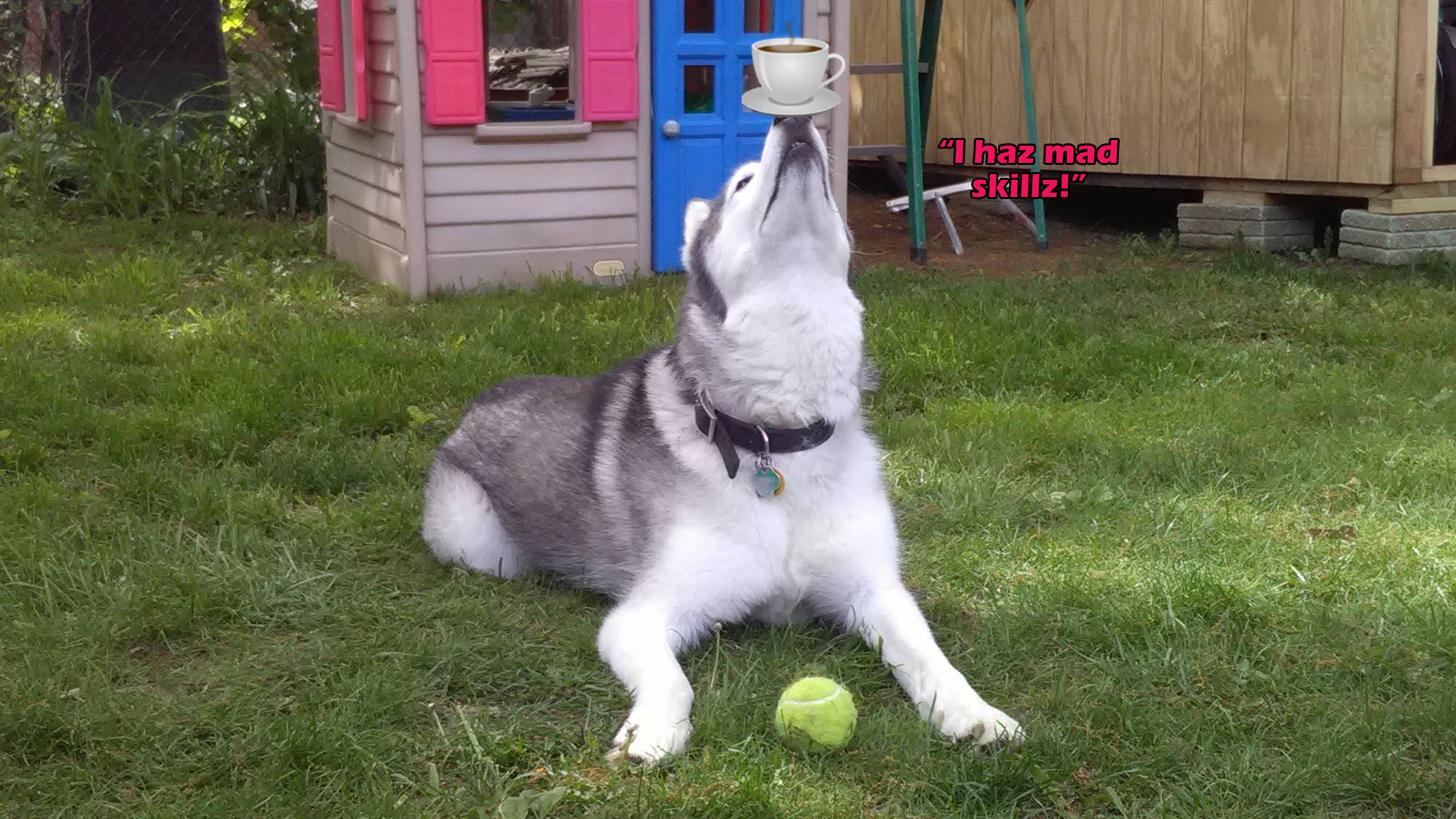 ☕ Your Tues Perkup: New Ears Evening, Done for you social sites, 40% off alll goodness, more!