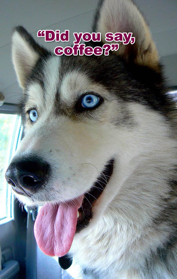 ☕ Your Mon Perkup: Storm again, Free marketing goodies, coaching, PLR Goodies, Amazon, more