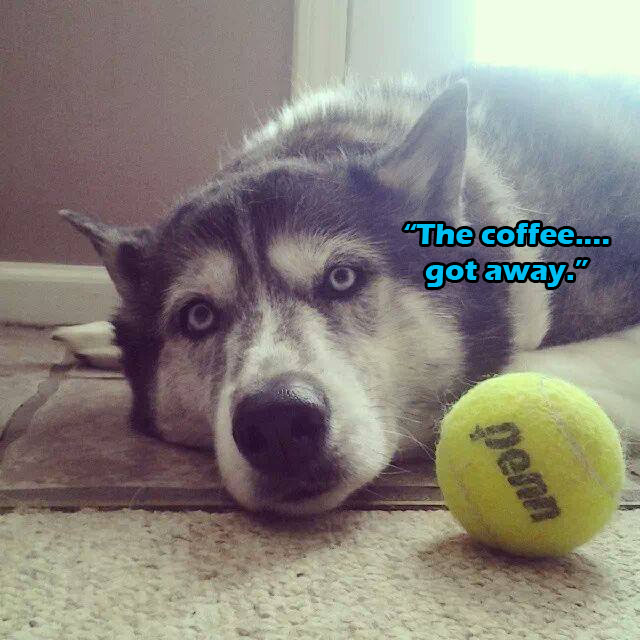 ☕Your Sun Perkup: OMG OMG, NEW today, Clickbank, Restaurants, Holiday Newsdesk, Personal Boundaries PLR, more!