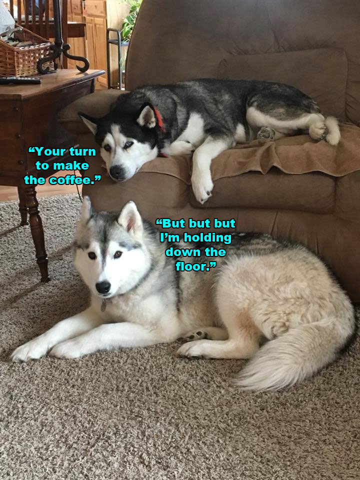 ☕ Your Sun Perkup: Apologies, Toxic Families, Dog Training Clickbank, Pinterest, Affiliate Marketing, more! ☕ Your Sun Perkup: Apologies, Toxic Families, Dog Training Clickbank, Pinterest, Affiliate Marketing, more!