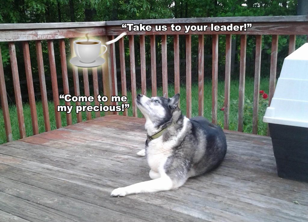 ☕ Your Wed Perkup: Sneakers, Breaking things up, Public Domain Goodness, 20K, 1 Buck, IM Trenches, more!
