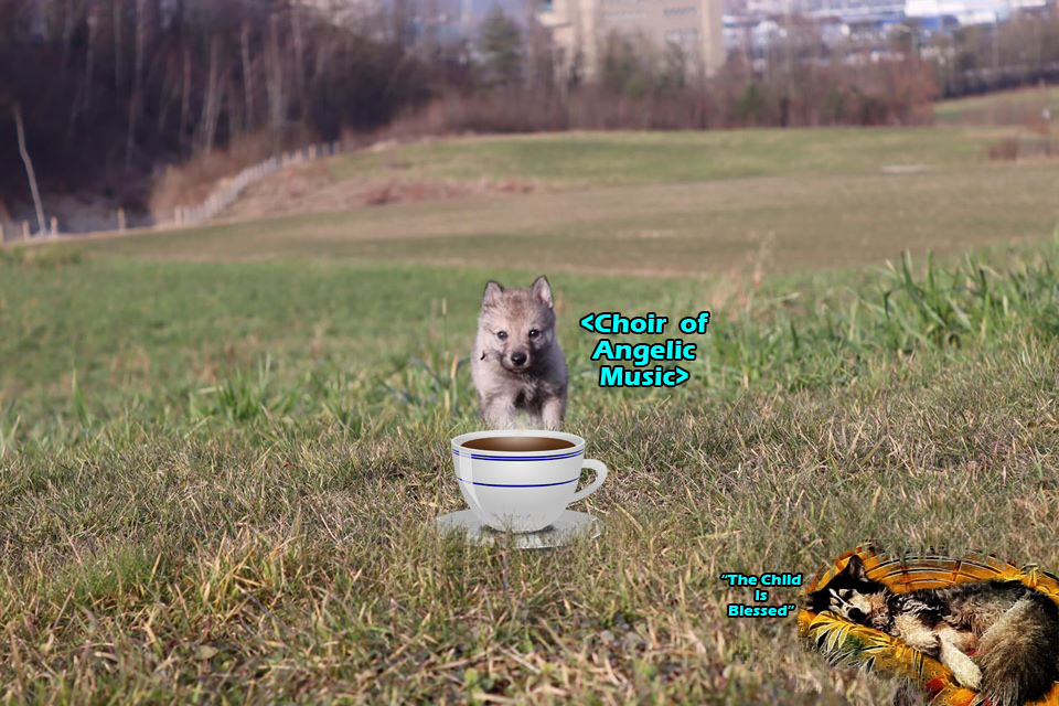 ☕ Your Mon Perkup: OMG, SuperBowl, AI, Troll Destruction, 100 percent, more!