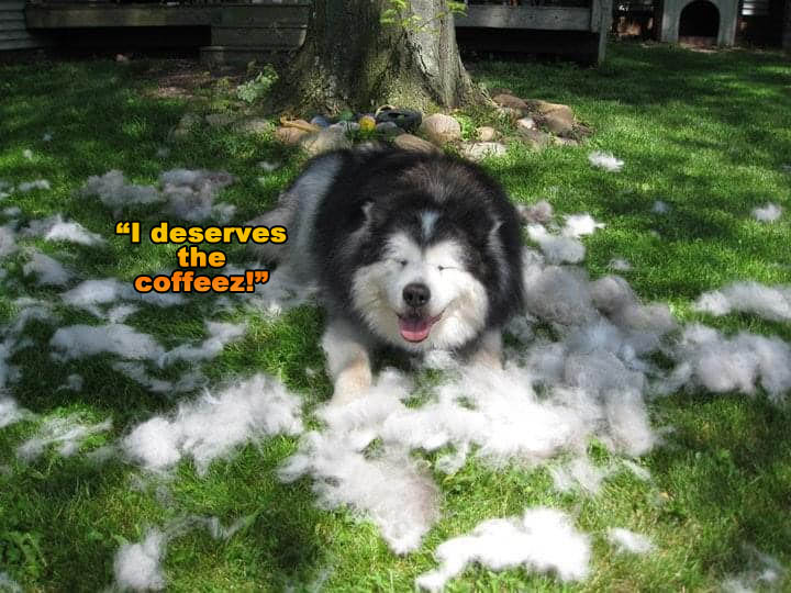 ☕ Your Fri Perkup: Never ends, Emergency Moola, RSS, PLR Software, Scrapbooks, more!