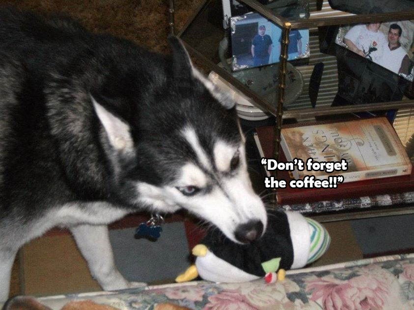 ☕ Your Fri Perkup: 1964, PMS Flamethrower, Pinterest , Viral PDFs, Crypto Goodies, Holiday Toys PLR, more!