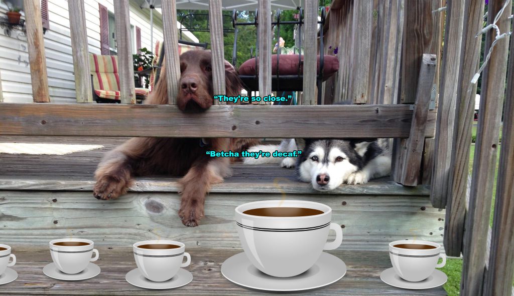 ☕ Your Wednesday Perkup:  Updates and more.  Pls open.  And the goodies…