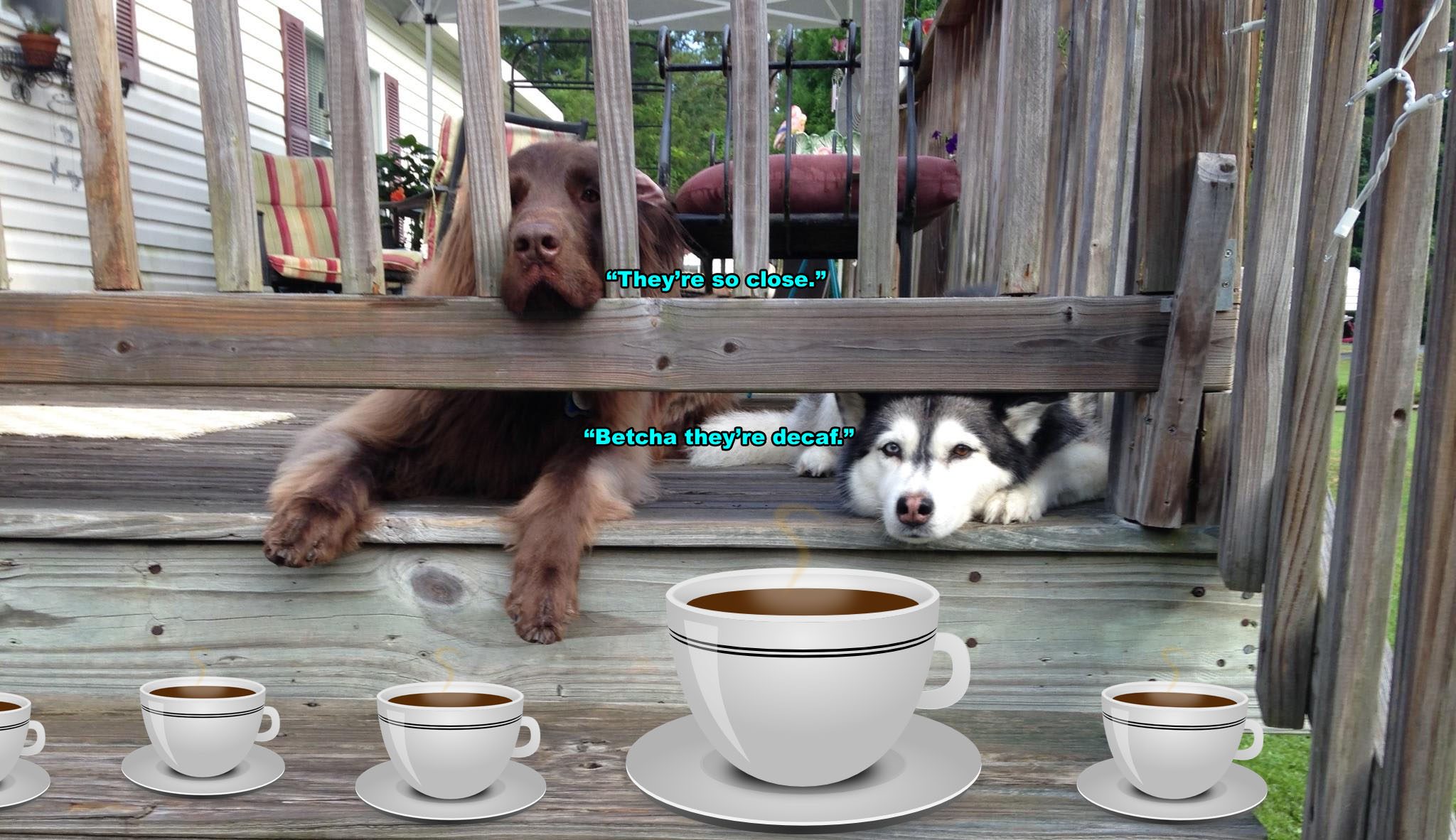 ☕ Your Wednesday Perkup:  Updates and more.  Pls open.  And the goodies…