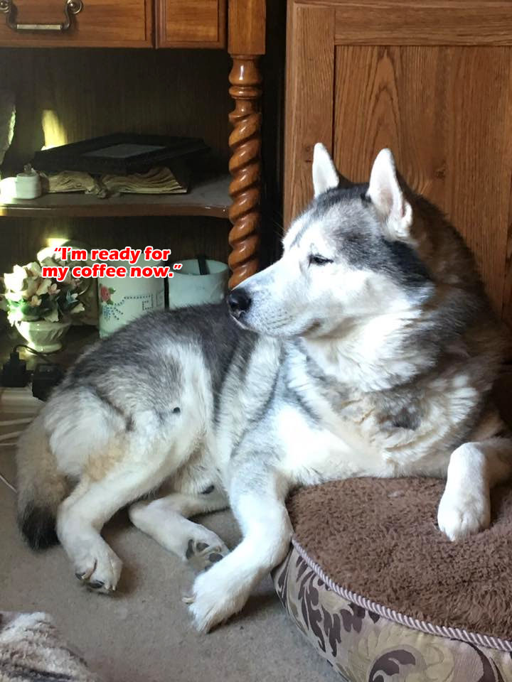 ☕ Your Tue Perkup: 1915, No Covid, Ending Tonight, Bitcoins, Chess, Clickbank, PLR, Affiliate Marketing, more! ☕ Your Tue Perkup: 1915, No Covid, Ending Tonight, Bitcoins, Chess, Clickbank, PLR, Affiliate Marketing, more!